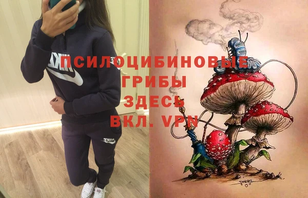 эйфоретик Богородск