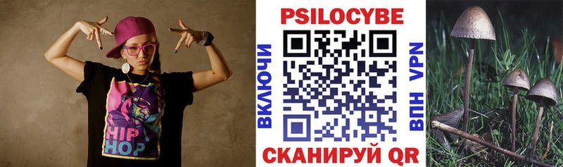 Галлюциногенные грибы Psilocybe  магазин продажи наркотиков  Чухлома 